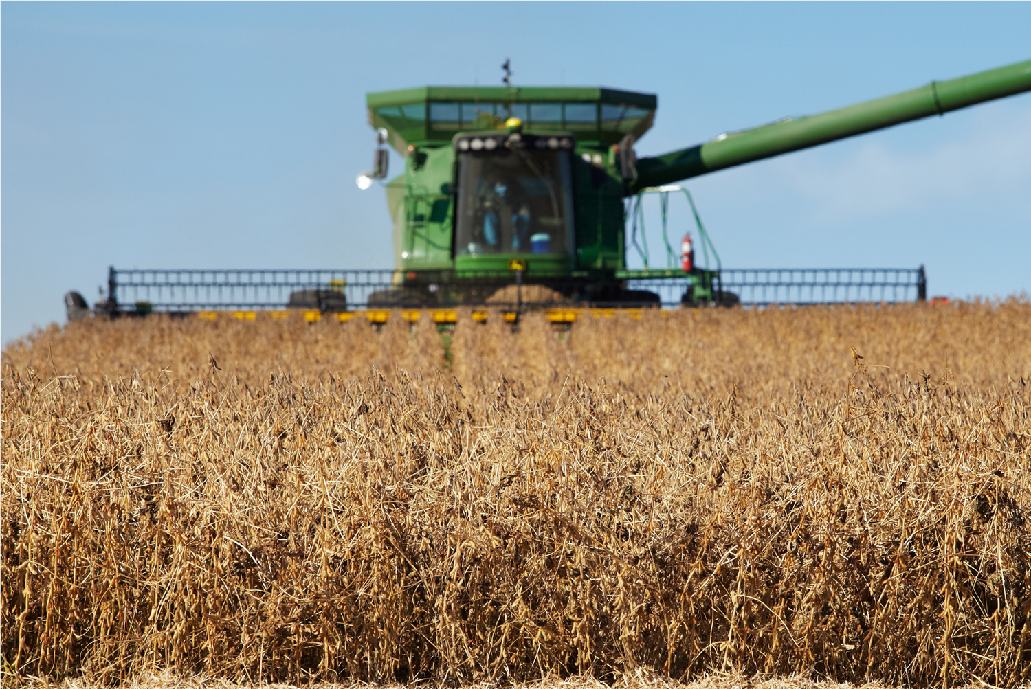 A John Deere combine cuts a wide swath in a Minnesota soybean field.